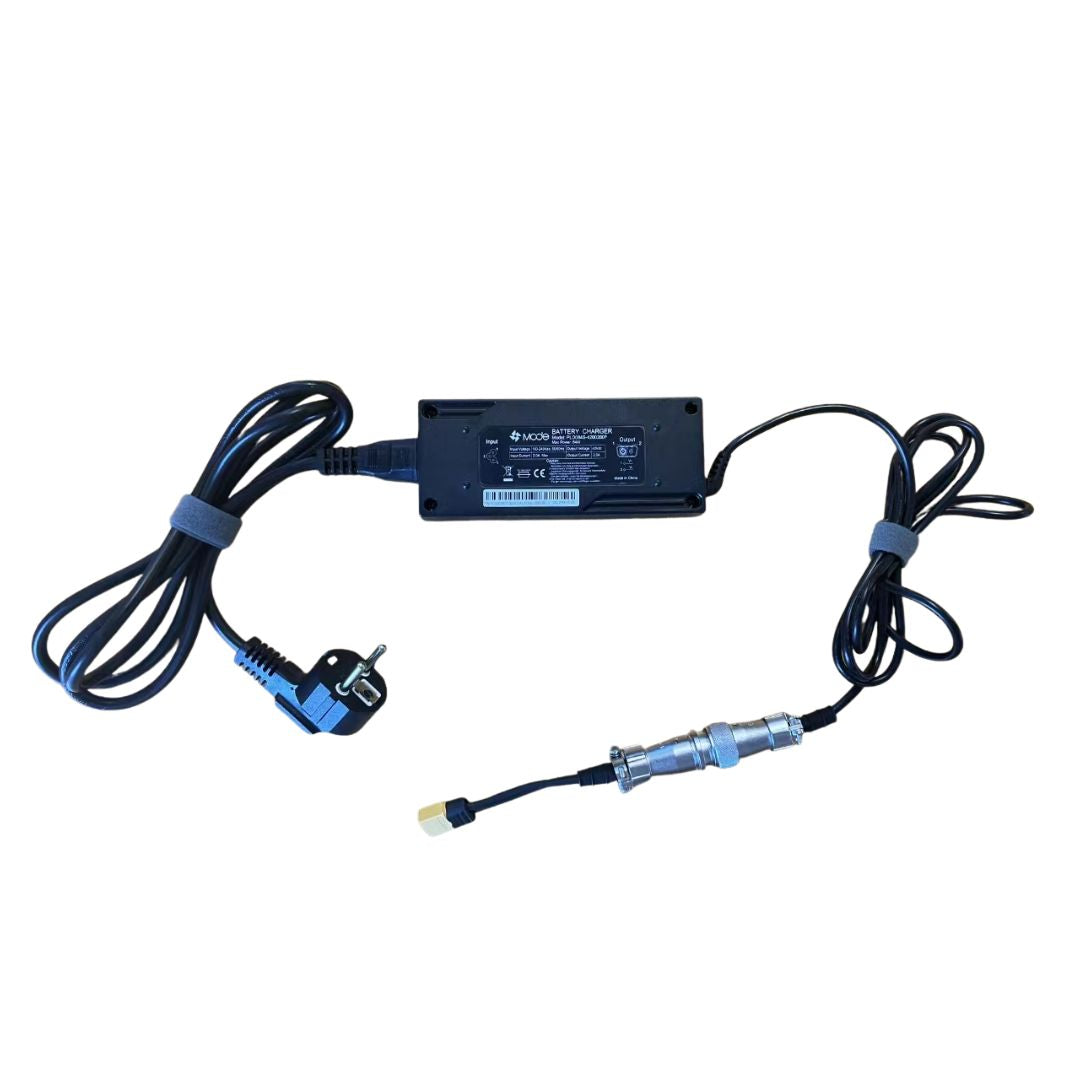 Cargador original para Free Hoist