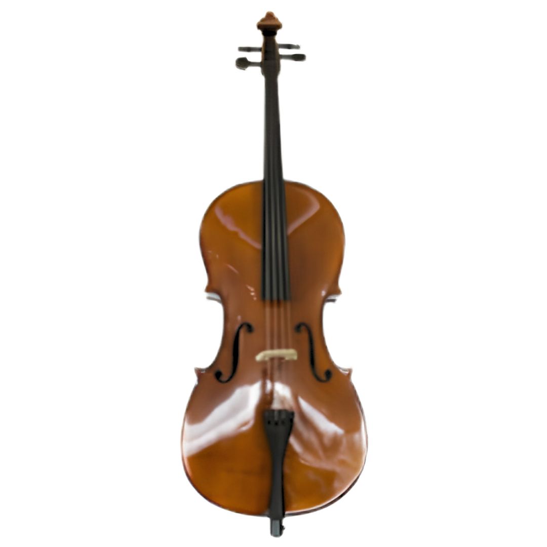 STEINER C030 3/4 | Violonchelo Acústico