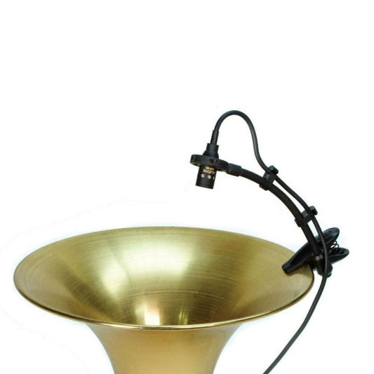 AUDIX ADX20 IP | Micrófono de Condensador Profesional para Instrumentos de Viento