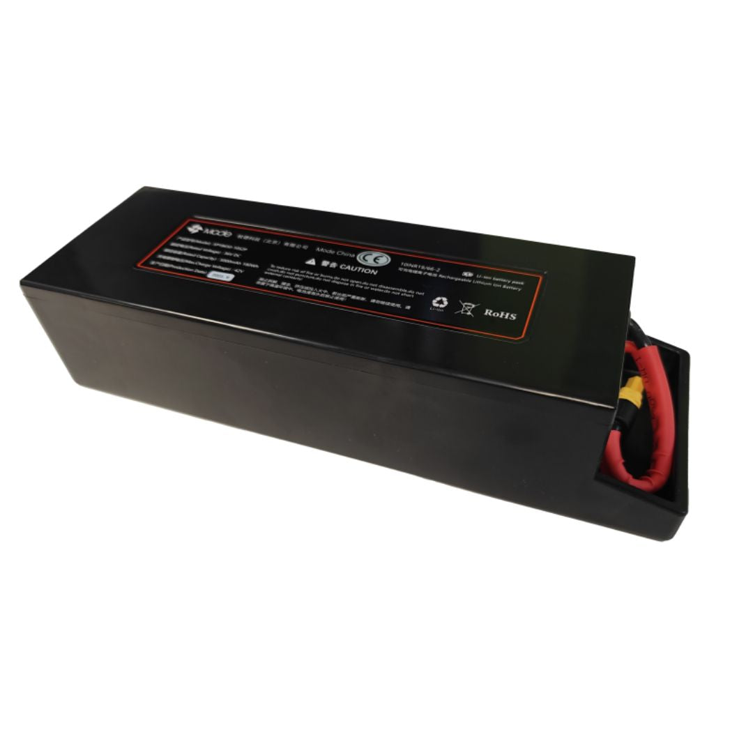 Batería de reemplazo Free Hoist – 36V 5000 mAh