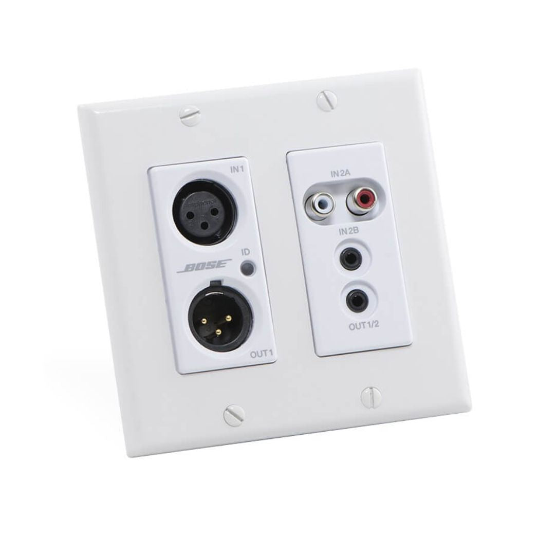 Bose ControlSpace WP22BU-D Dante | Placa de Pared de Conexión Múltiple