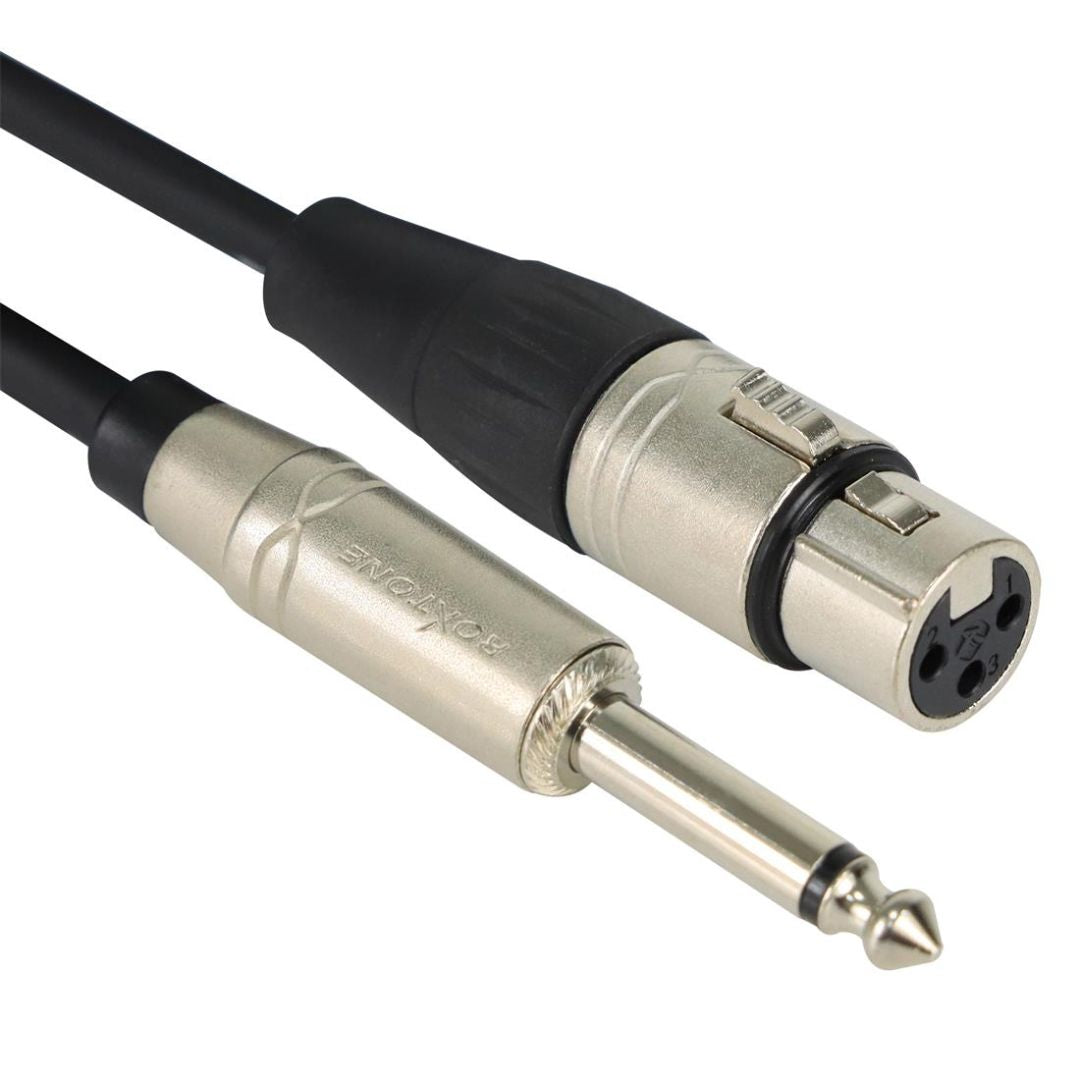 ROXTONE SMXJ210L0100 | CABLE P/MICROF. 1 PLUG 6.3 MN X 1 JACK CANON 10MT