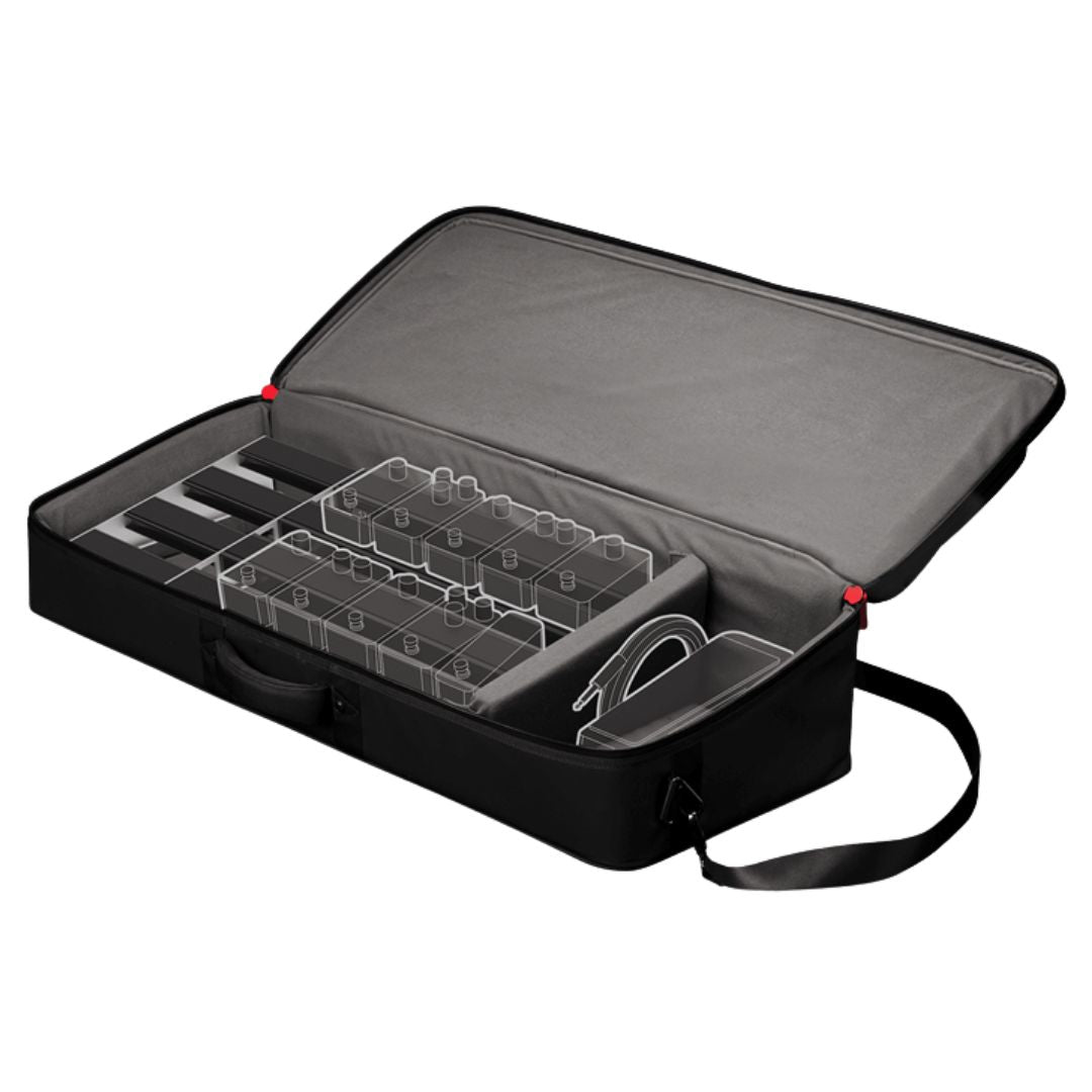 D’Addario PW-BLPBT-02 | Backline Pedalboard Transporter para Pedaleras