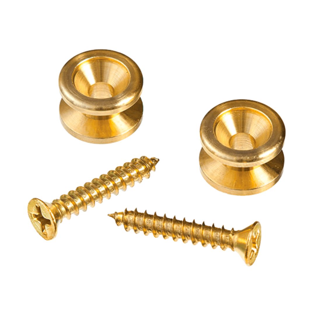D’Addario PWEP302 | Bridge & End Pins de Bronce Sólido para Guitarra/Bajo (Pack x2)