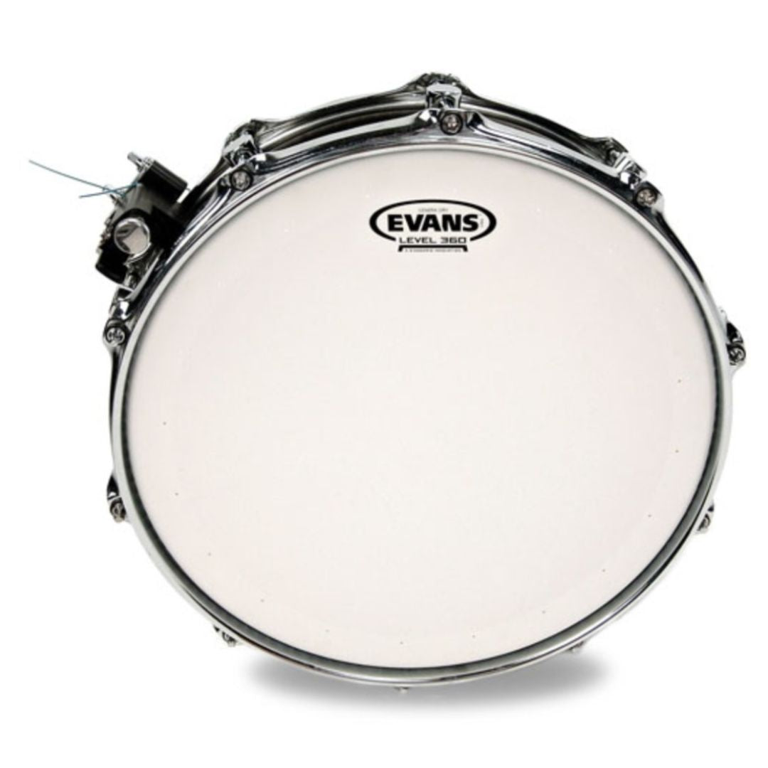 EVANS B14DRY | Parche Genera Dry 14” para Redoblante