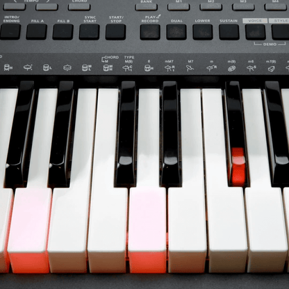 KURZWEIL KP90L | Teclado de 61 Teclas Sensibles con Key Light y 580 Sonidos