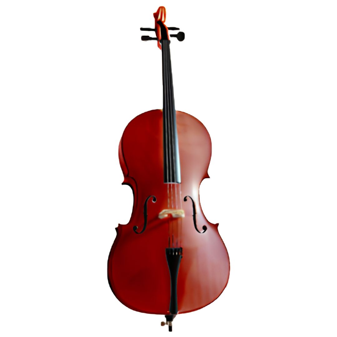 STEINER C030 1/2 | Violonchelo Acústico