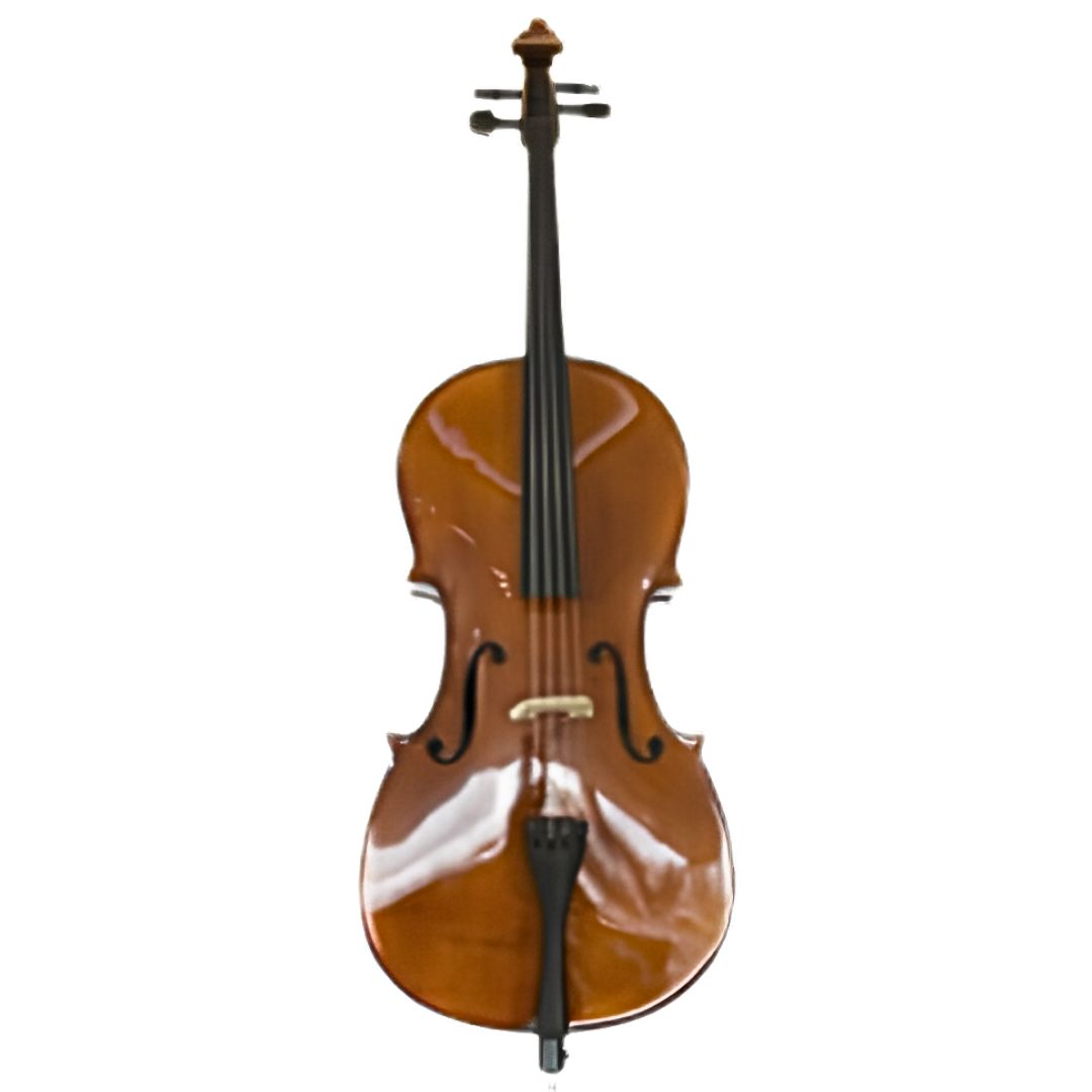 STEINER C030 4/4 | Violonchelo Acústico