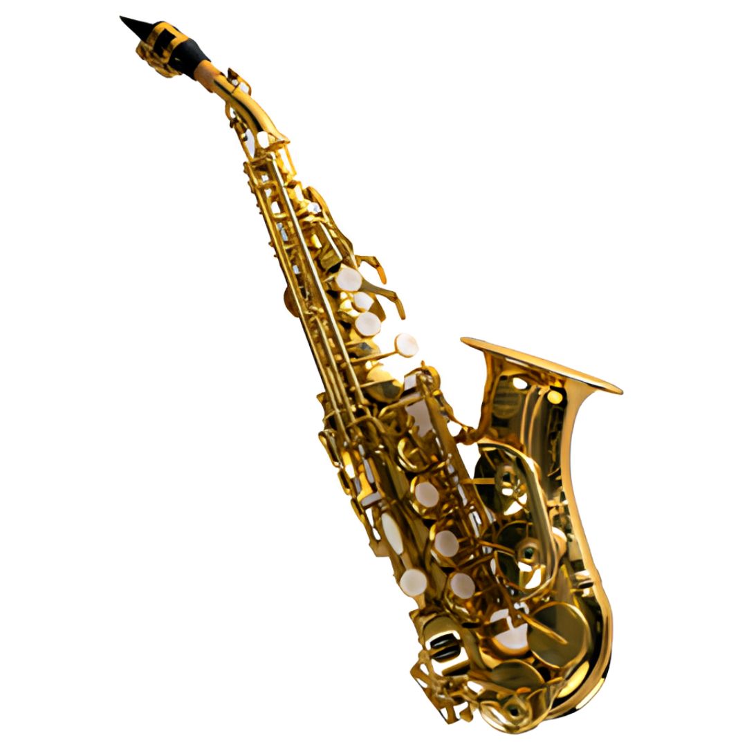 STEINER SP3041G | Saxofón Sopranino Curvo