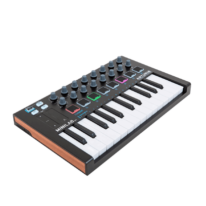 Arturia MINILAB MK II BLACK EDITION | Controlador MIDI Portátil – 25 Teclas (LIQUIDACIÓN)